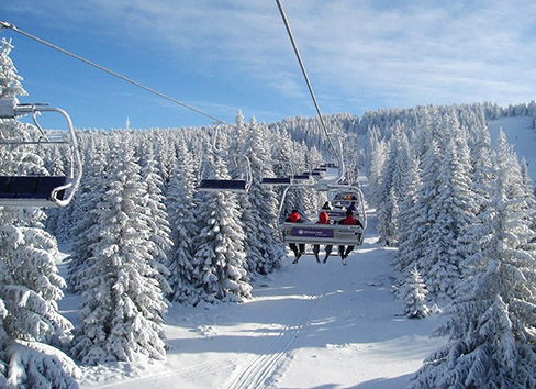 Dragiša Mladenović